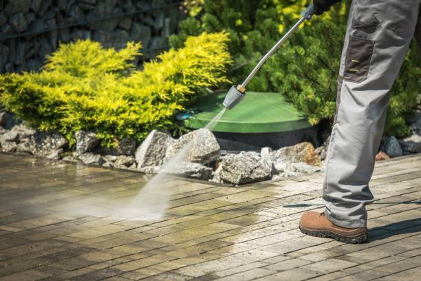 Best Pre-Holiday Cleaning  in West Terre Haute, IN