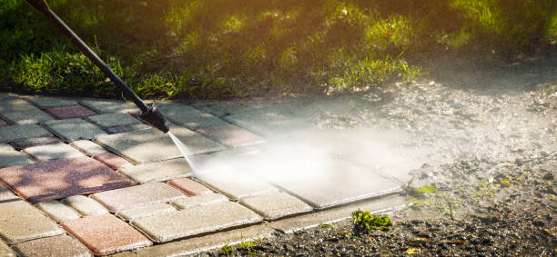 Best Driveway Pressure Washing  in West Terre Haute, IN